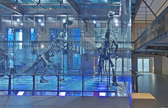 Очень интересно. Google запустил онлайн-экскурсии по 50 музеям мира