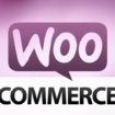 Woocommerce - свой интернет магазин на Wordpress. Хуки и правки. Постоянно обновляется!