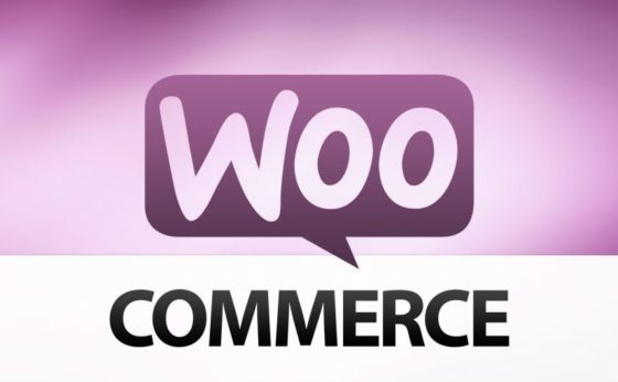 Woocommerce - свой интернет магазин на Wordpress. Хуки и правки. Постоянно обновляется!
