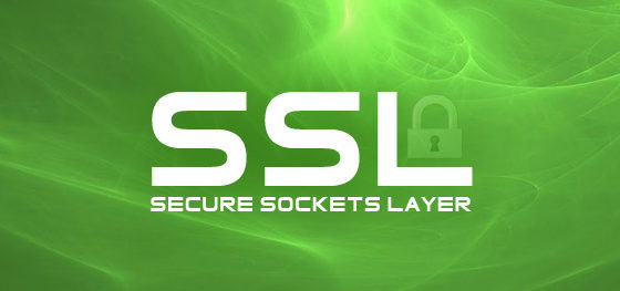 Как избежать мошенничества в сети