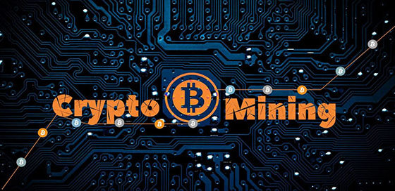 Более 4000 государственных сайтов США и Великобритании были заражены криптомайнером