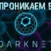 DarkNet или обратная сторона Сети