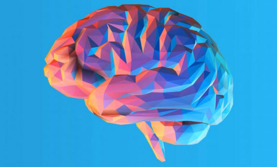 ac734211707c9956e5cfb97a0d9f62a3