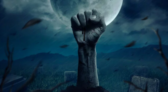 Криптопортал CCN