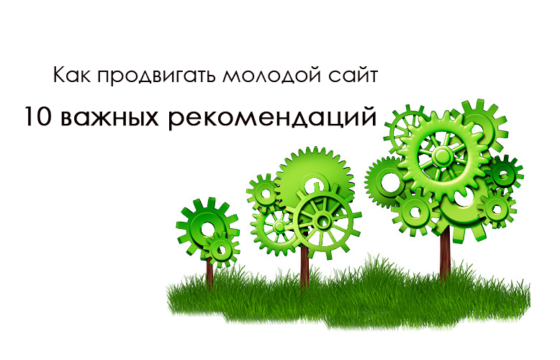 Продвижение молодого сайта в 2019 году. 10 важных рекомендаций