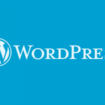 WordPress будет автоматически обновлять темы и плагины