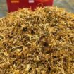 Табак для курения: виды сортов и правила выбора качественного продукта