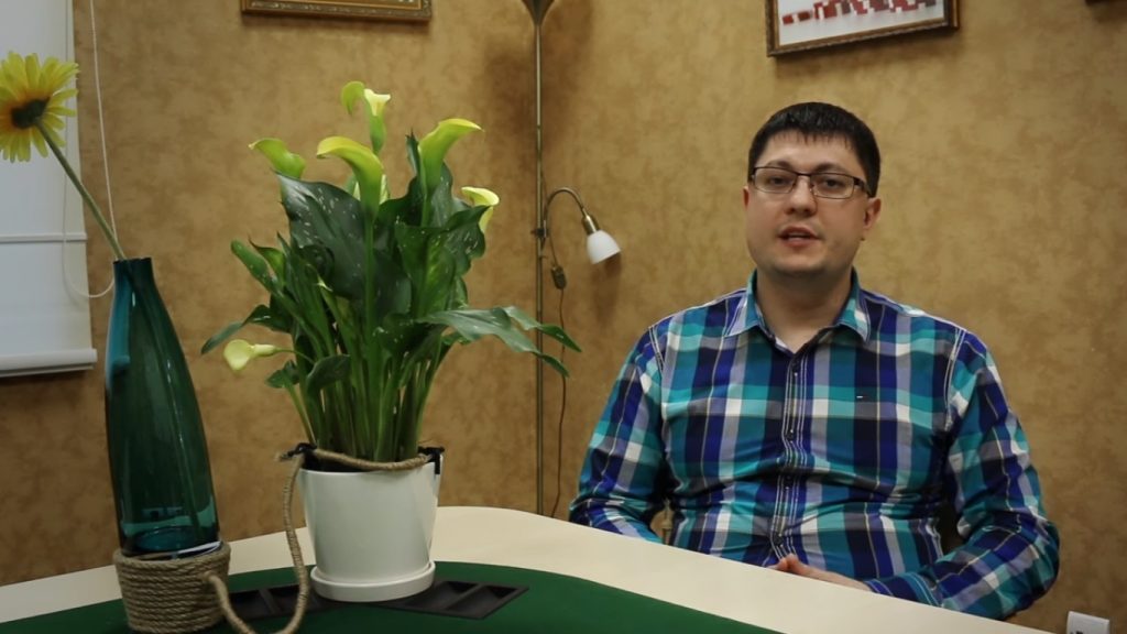 Украинский программист создал «умную» систему полива комнатных растений